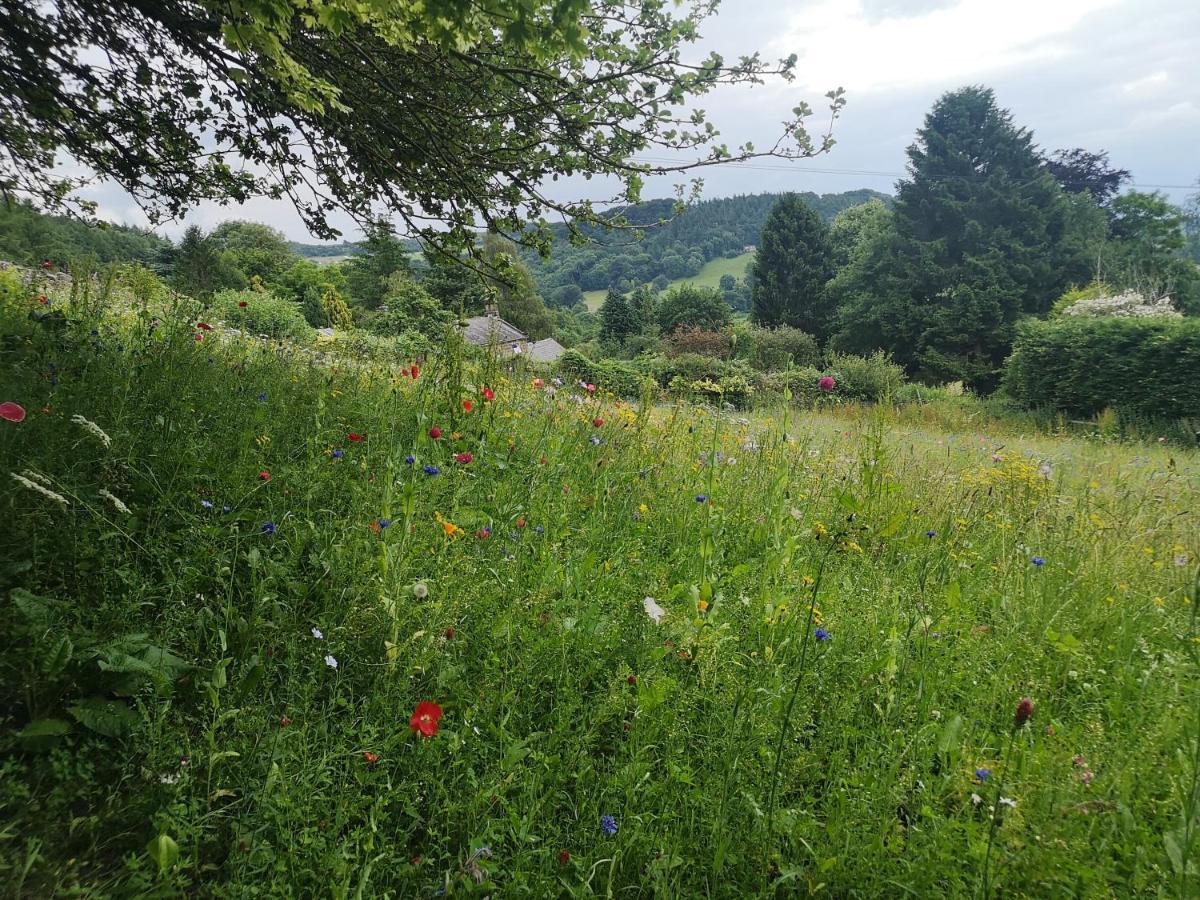 1 Bed Studio In Two Dales Near Matlock & Bakewell Dış mekan fotoğraf